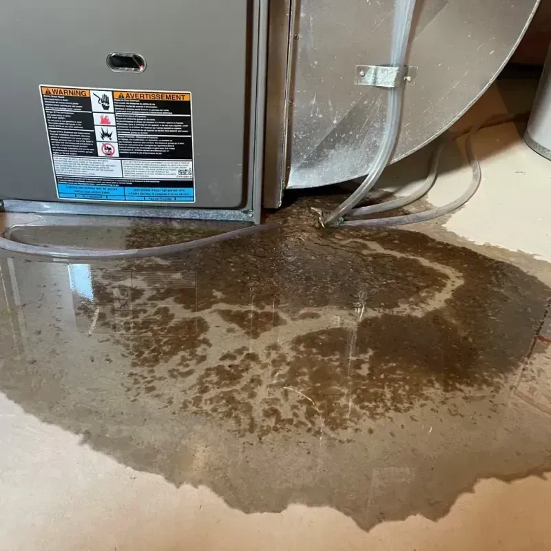 Appliance Leak Cleanup in Beaufort, SC